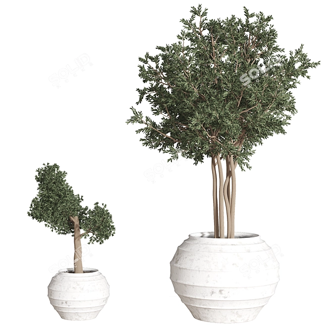 2015 Plant_01 - Centimeters, Vray/Corona, 3Ds Max, OBJ, FBX 3D model image 5