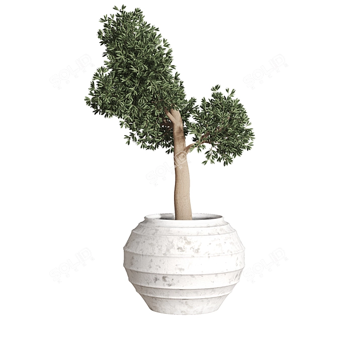 2015 Plant_01 - Centimeters, Vray/Corona, 3Ds Max, OBJ, FBX 3D model image 6