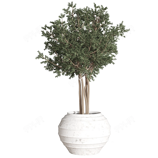 2015 Plant_01 - Centimeters, Vray/Corona, 3Ds Max, OBJ, FBX 3D model image 7