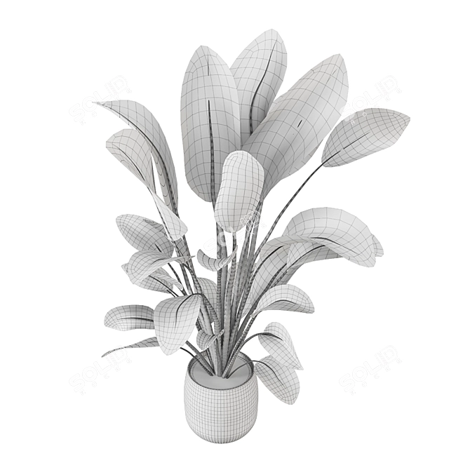 Green Oasis Indoor Plant Collection 3D model image 7