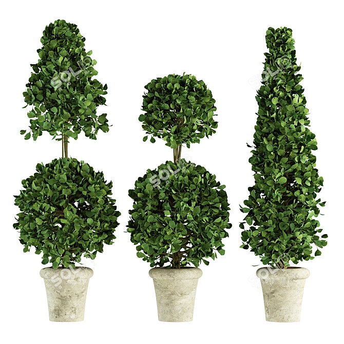 Concrete Pot Plants - Outdoor Greenery 3D model image 1