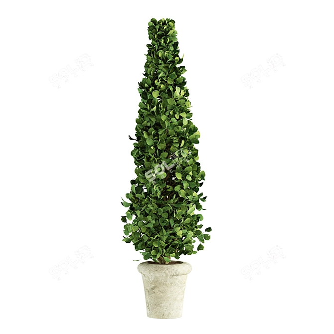 Concrete Pot Plants - Outdoor Greenery 3D model image 2