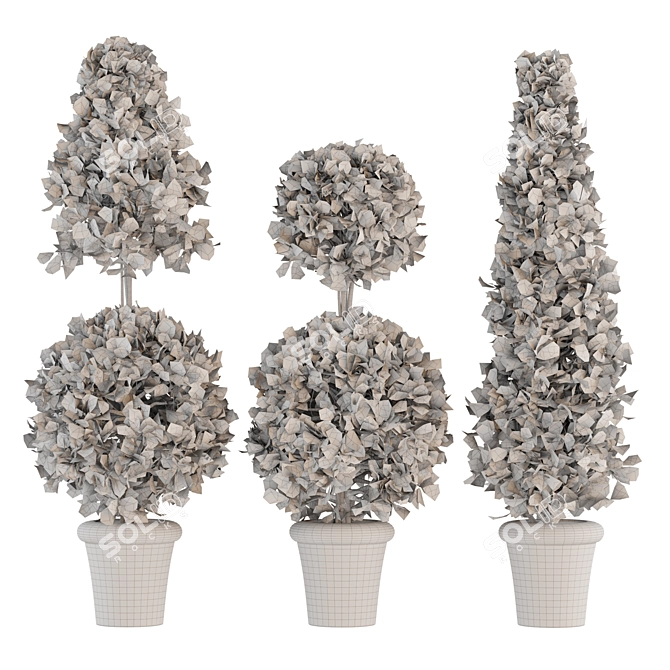 Concrete Pot Plants - Outdoor Greenery 3D model image 5