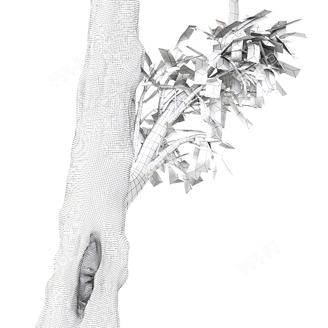 Elegant Ash Tree: Stunning and Majestic 3D model image 3