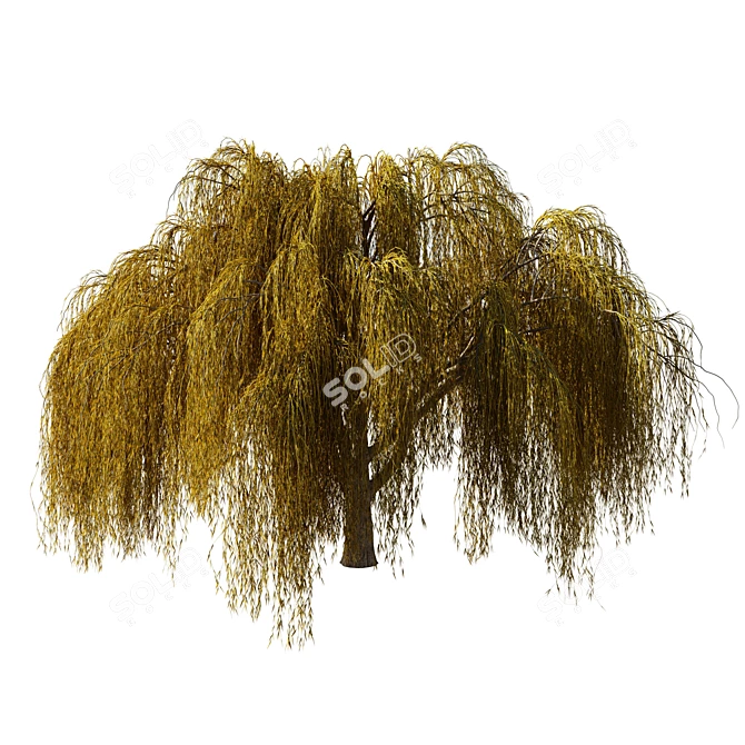 Serene Willow Tree Sculpture 3D model image 1