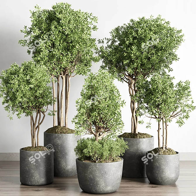 145-Piece Collection: Indoor/Outdoor Plant Tree Vase in Dirty Concrete 3D model image 2
