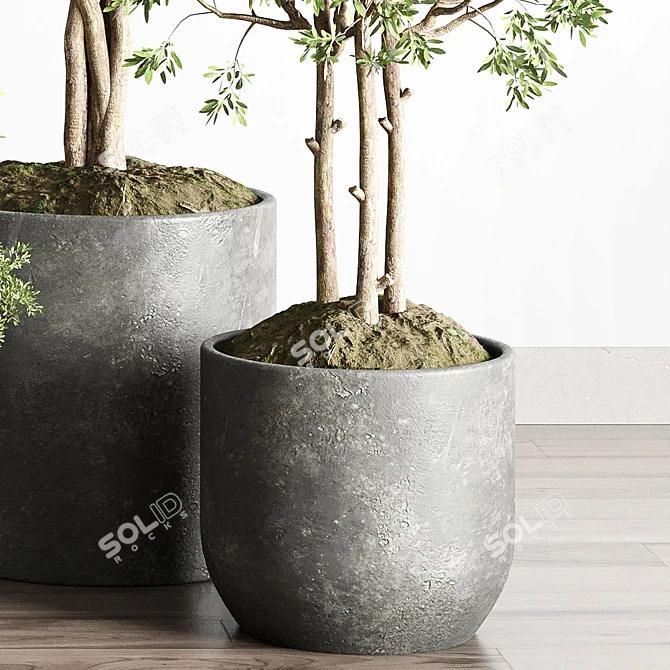 145-Piece Collection: Indoor/Outdoor Plant Tree Vase in Dirty Concrete 3D model image 5