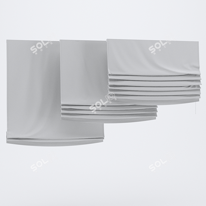 Elegant Roman Curtains Set 3D model image 2