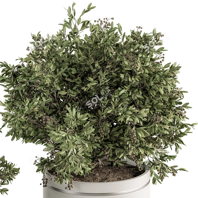 Bountiful Greens 311: Stylish Indoor Plant Set 3D model image 2