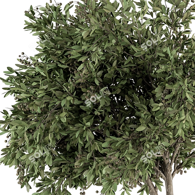 Bountiful Greens 311: Stylish Indoor Plant Set 3D model image 3