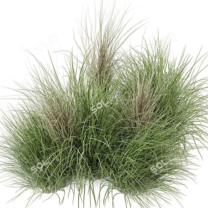 Outdoor Bush Set 310 - High-Quality 3D Plants 3D model image 2