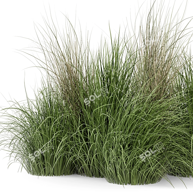 Outdoor Bush Set 310 - High-Quality 3D Plants 3D model image 3