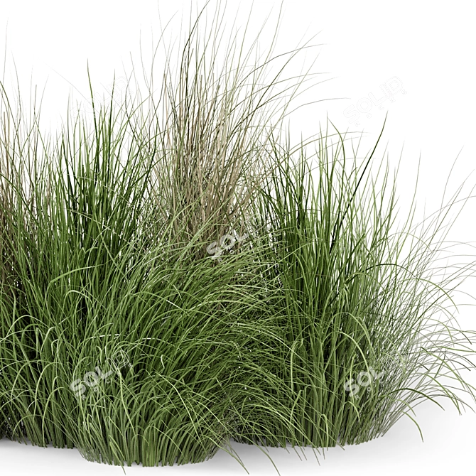 Outdoor Bush Set 310 - High-Quality 3D Plants 3D model image 4