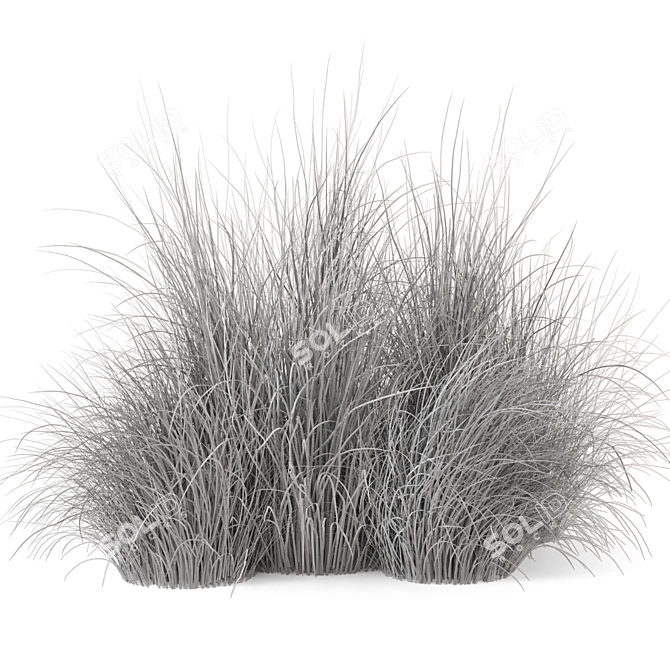 Outdoor Bush Set 310 - High-Quality 3D Plants 3D model image 6