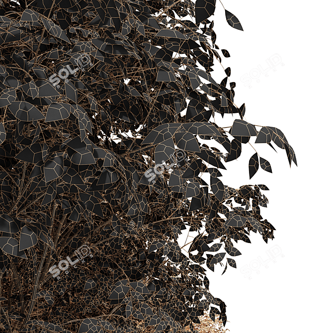 Autumnal Beauty: Realistic Ulmus changii Tree 3D model image 4