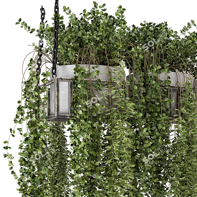 Metal Box Hanging Plants - Set 311 3D model image 3