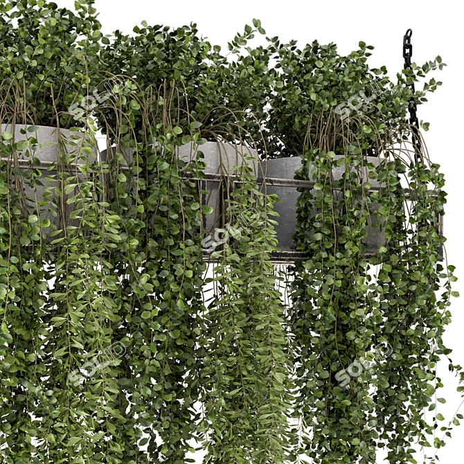 Metal Box Hanging Plants - Set 311 3D model image 4