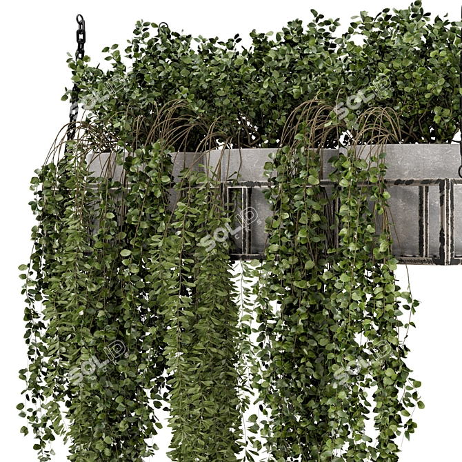 Metal Box Hanging Plants - Set 311 3D model image 5