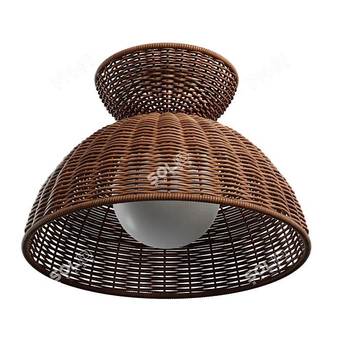 Rattan Glow Flush Mount 3D model image 2