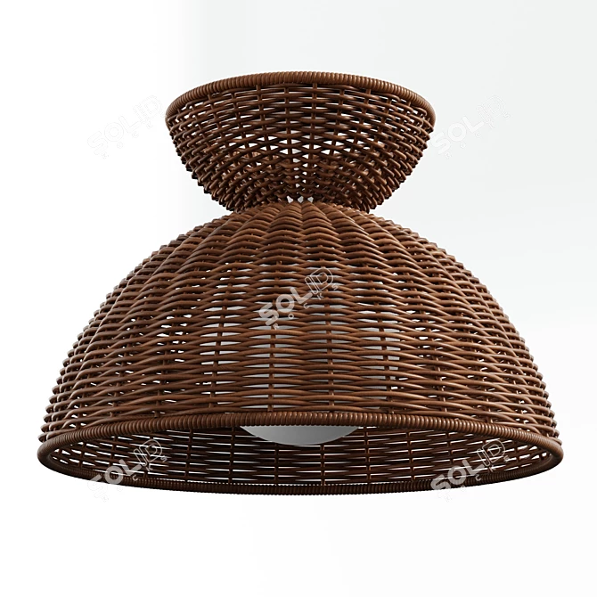 Rattan Glow Flush Mount 3D model image 3