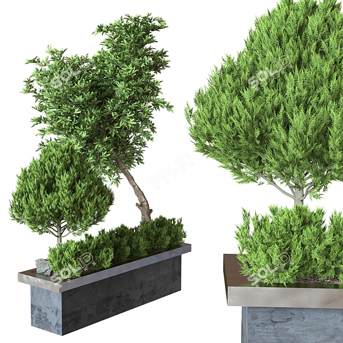 Outdoor Plant Collection Vol. 23 3D model image 1