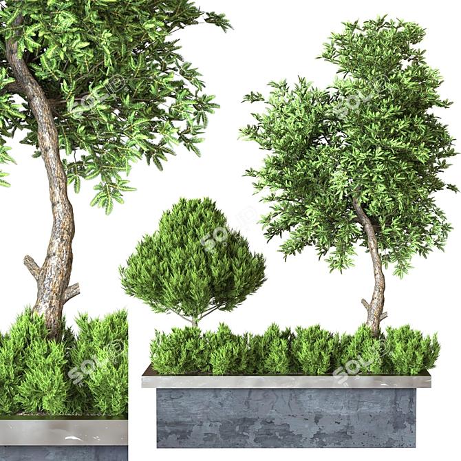 Outdoor Plant Collection Vol. 23 3D model image 2