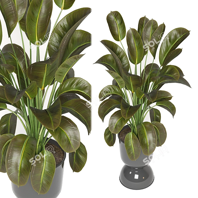 Indoor Oasis: Plant Collection 3D model image 4