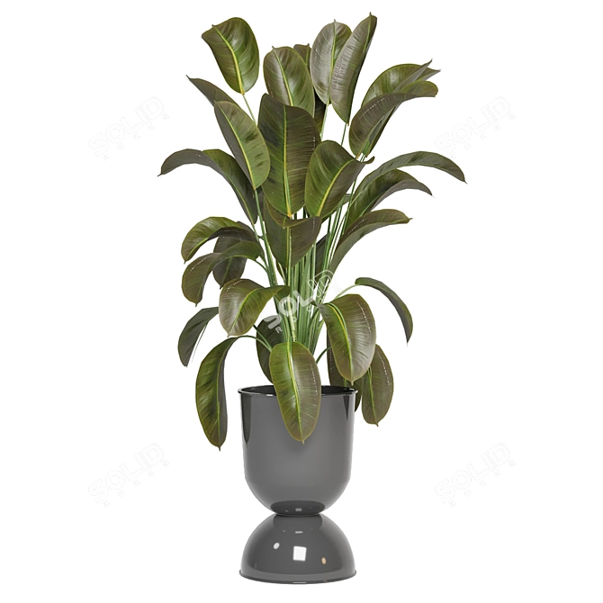 Indoor Oasis: Plant Collection 3D model image 5