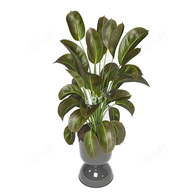 Indoor Oasis: Plant Collection 3D model image 6