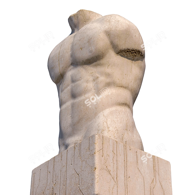 Sculpted Male Torso: 15" Tall, 3D Model 3D model image 3