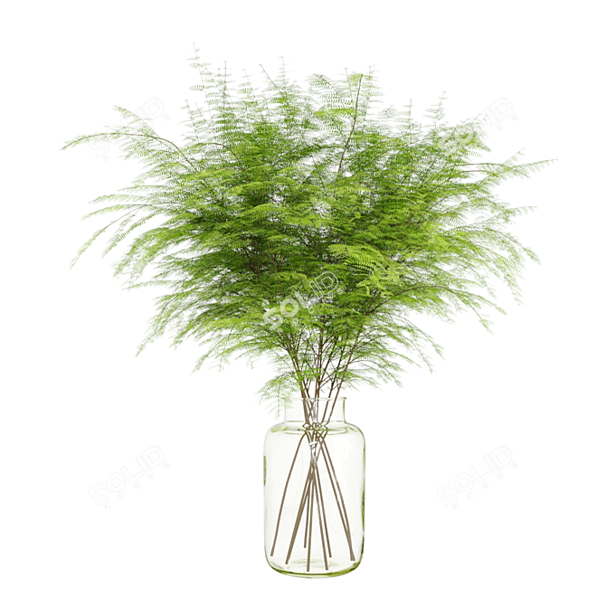 Lush Green Fern Bouquet 3D model image 1