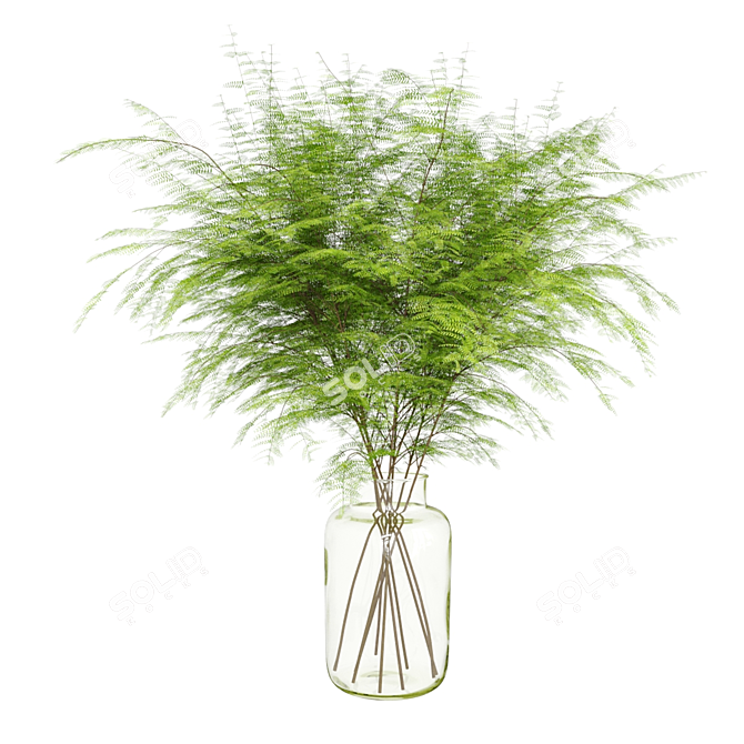 Lush Green Fern Bouquet 3D model image 2