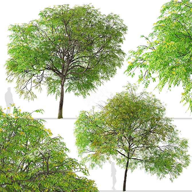 Golden Medallion Tree Set (2 Trees) 3D model image 7