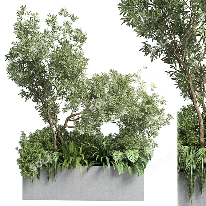 Outdoor Plant Collection: 68 Pot Plant Bush Grass and Tree Palm Concrete Vase 3D model image 1