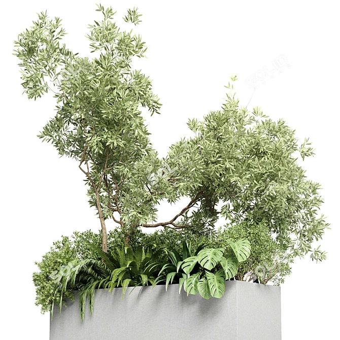 Outdoor Plant Collection: 68 Pot Plant Bush Grass and Tree Palm Concrete Vase 3D model image 2