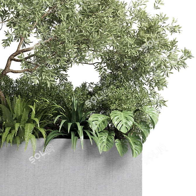 Outdoor Plant Collection: 68 Pot Plant Bush Grass and Tree Palm Concrete Vase 3D model image 3