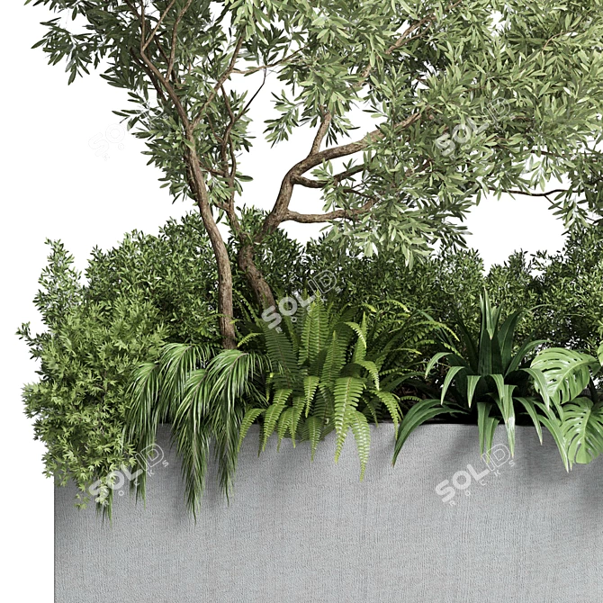 Outdoor Plant Collection: 68 Pot Plant Bush Grass and Tree Palm Concrete Vase 3D model image 4