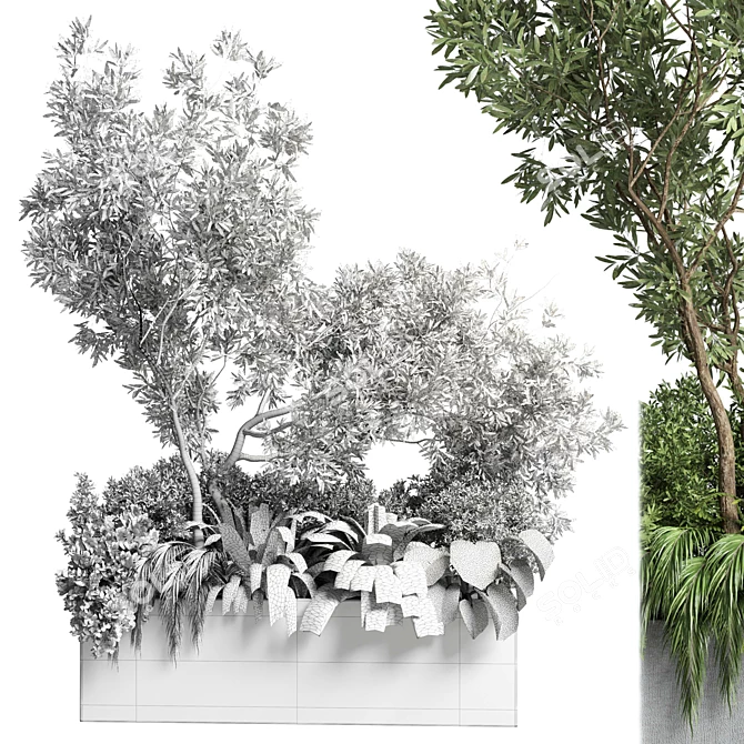 Outdoor Plant Collection: 68 Pot Plant Bush Grass and Tree Palm Concrete Vase 3D model image 5