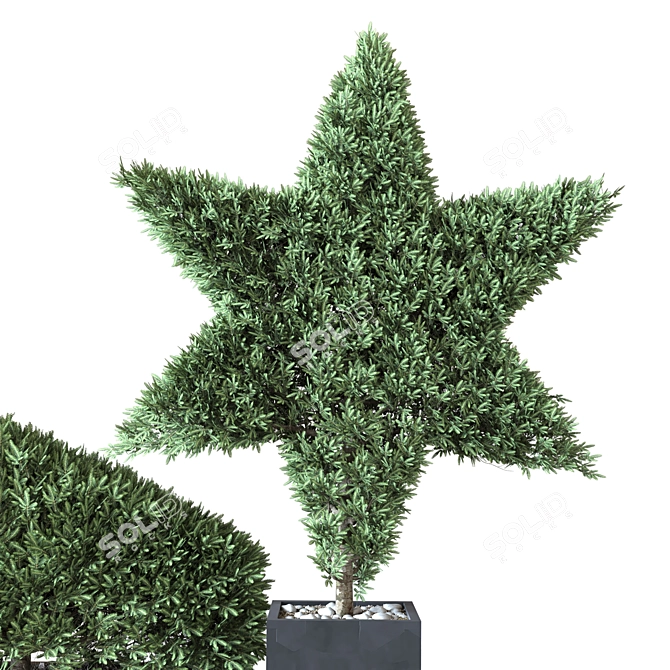 Bush Vol. 02 - 2015 Edition 3D model image 2