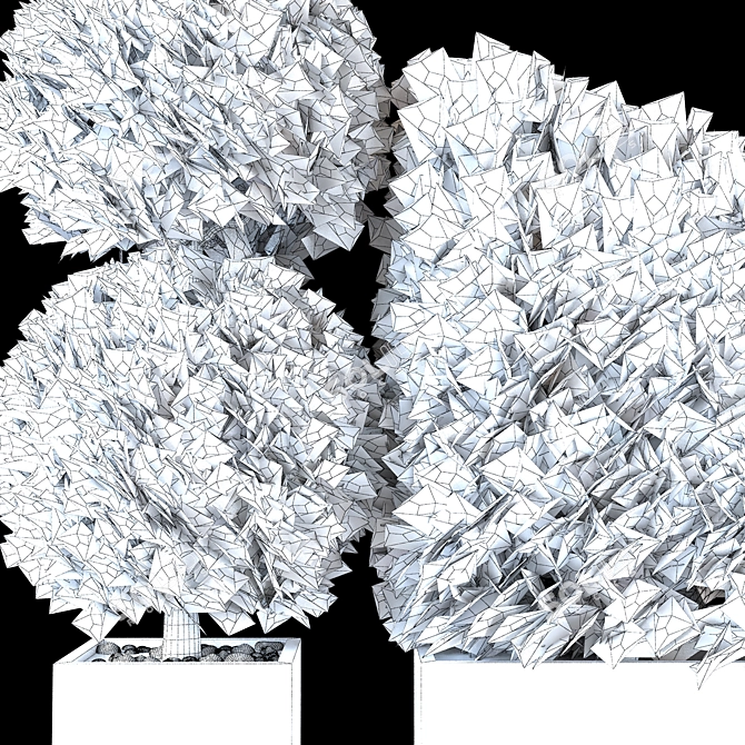 Bush Vol. 02 - 2015 Edition 3D model image 4