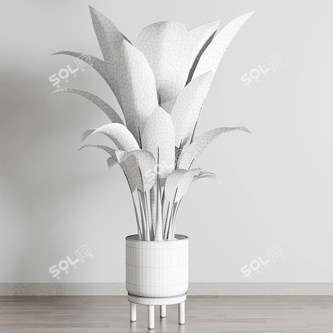 Ficus Rubber Plant in Wooden Vase 3D model image 6