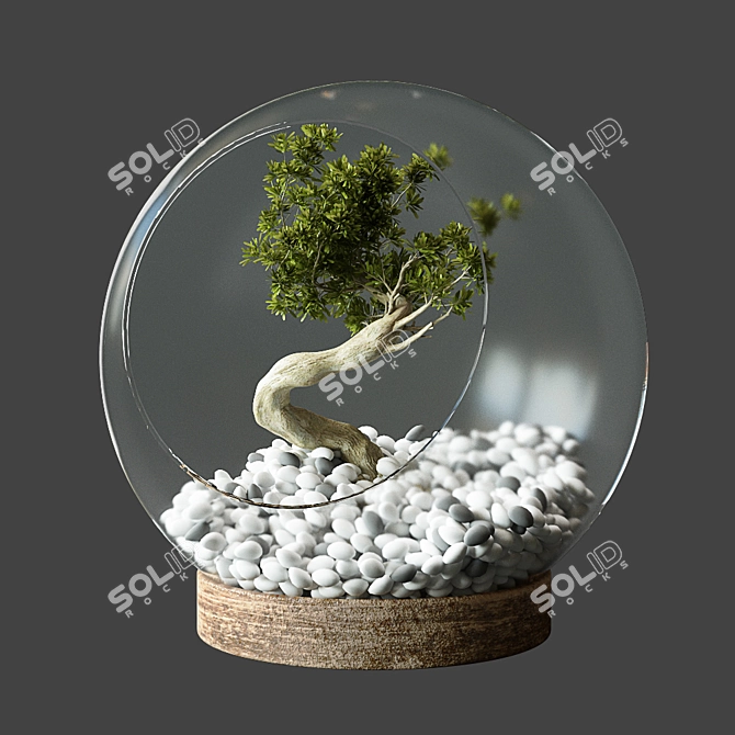 Miniature Glass Globe with Little Tree 3D model image 4