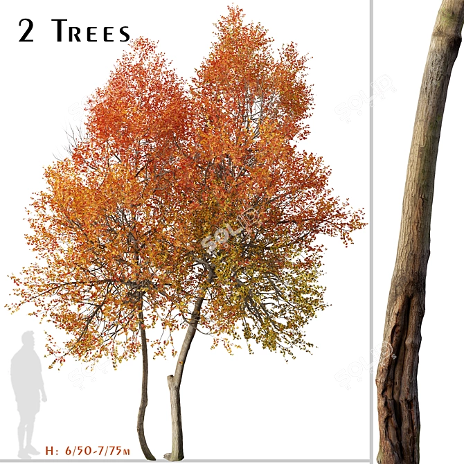 Autumn Blaze Tree Set: Vibrant Fall Colors 3D model image 1