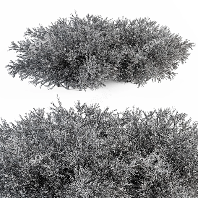 Needle Plant Set - 46 Bushes 3D model image 4