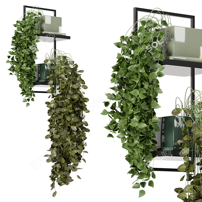 Rustic Concrete Pot & Metal Shelf with Indoor Plants 3D model image 3