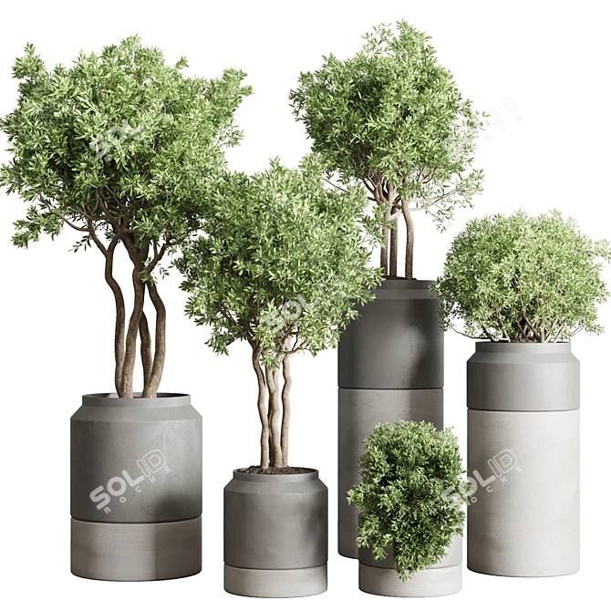 Concrete Vase Pot Collection: 61 Indoor & Outdoor Plants 3D model image 1