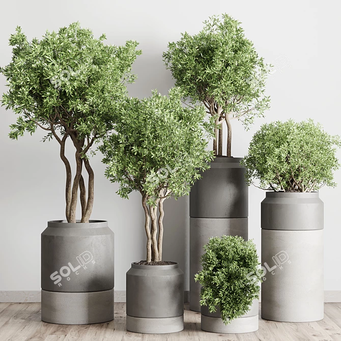 Concrete Vase Pot Collection: 61 Indoor & Outdoor Plants 3D model image 2