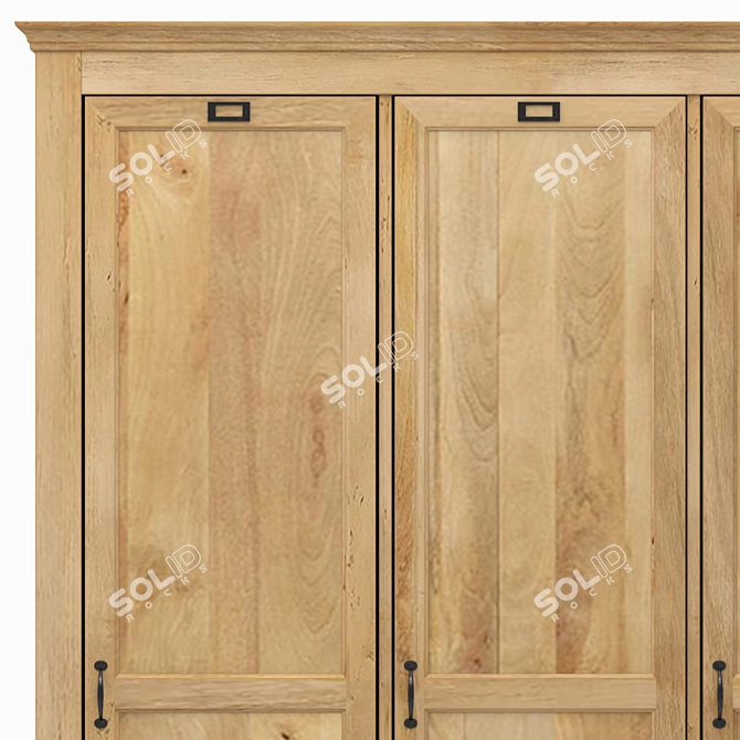 Academy Mango Wood Wardrobe 3D model image 1