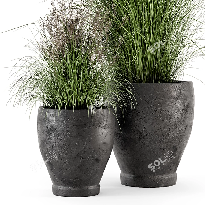 Rusty Concrete Pot Outdoor Plants 3D model image 2