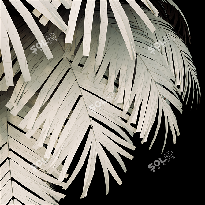 Tropical Paradise Palm Tree 3D model image 3